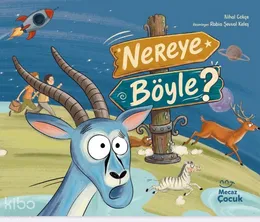 Nereye B&ouml;yle?